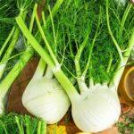 fennel for creamy asparagus soup